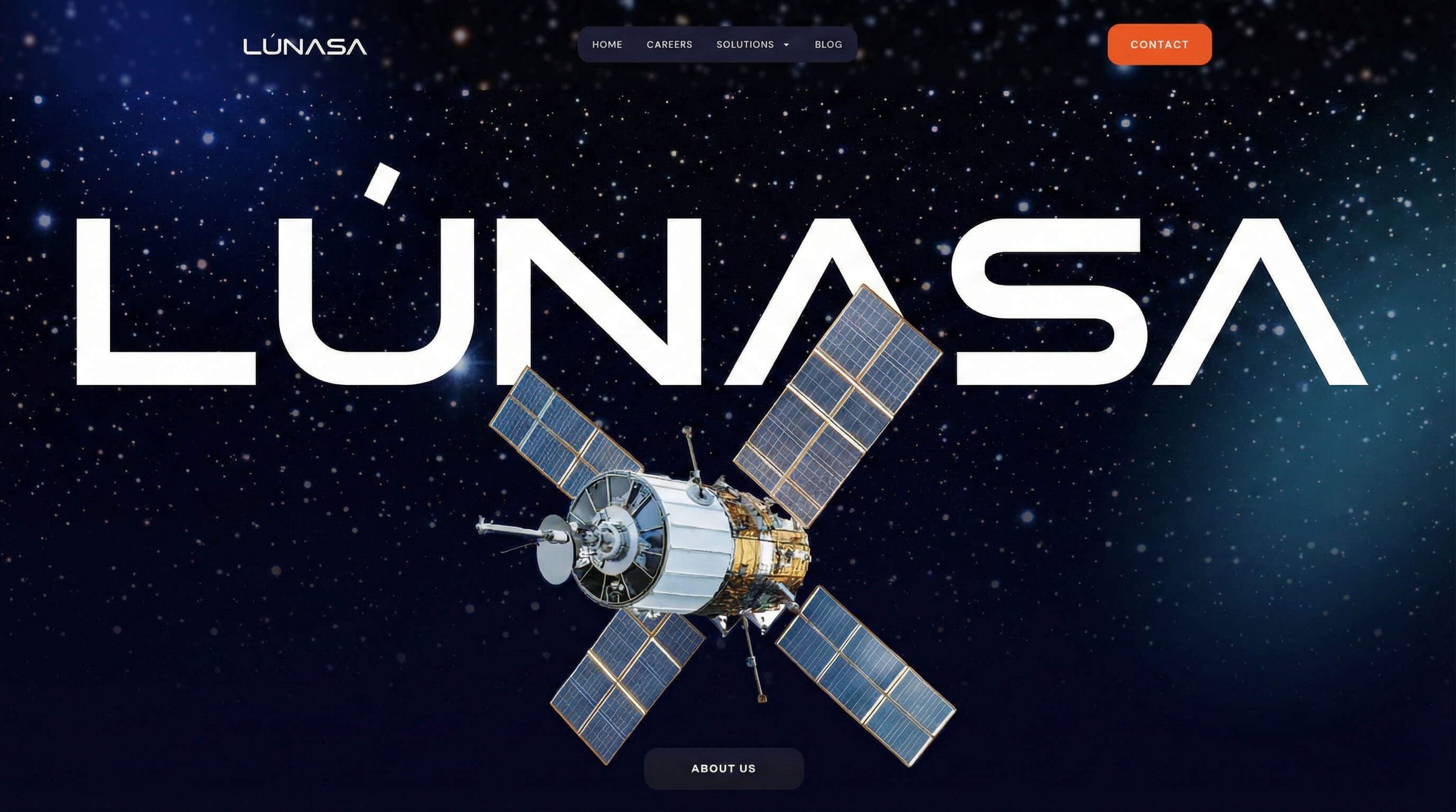 WEB DESIGNER & DEVELOPER